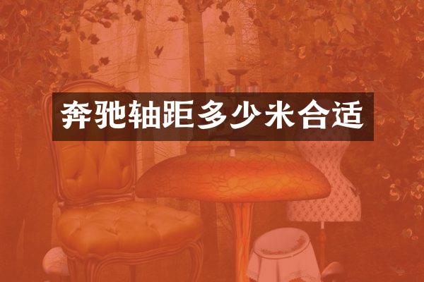 奔驰轴距多少米合适