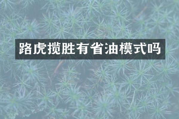 路虎揽胜有省油模式吗
