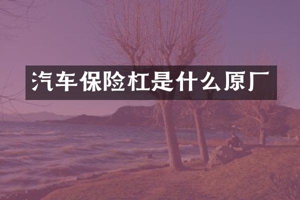 汽车保险杠是什么原厂