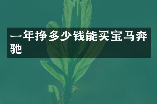 一年挣多少钱能买宝马奔驰