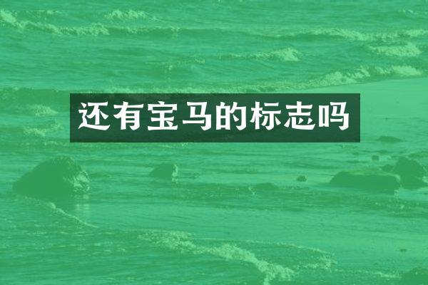 还有宝马的标志吗