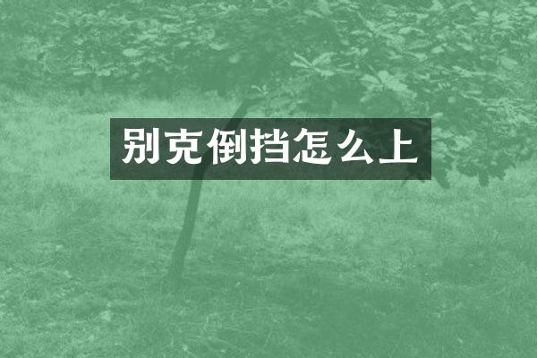 别克倒挡怎么上