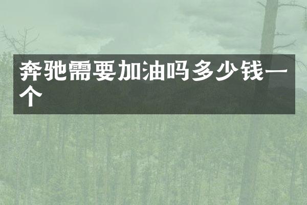 奔驰需要加油吗多少钱一个