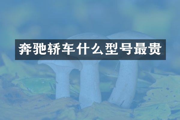 奔驰轿车什么型号最贵