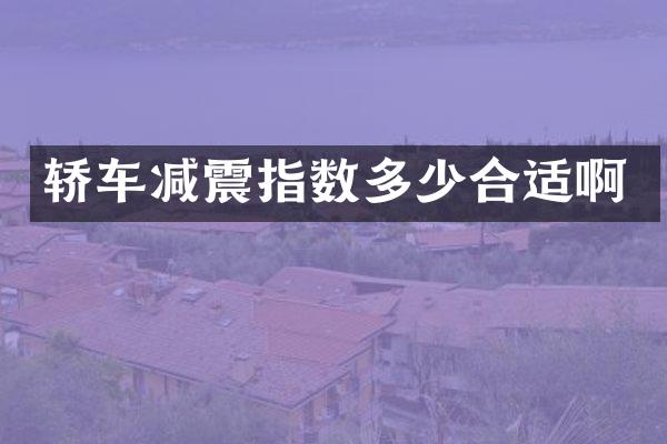 轿车减震指数多少合适啊