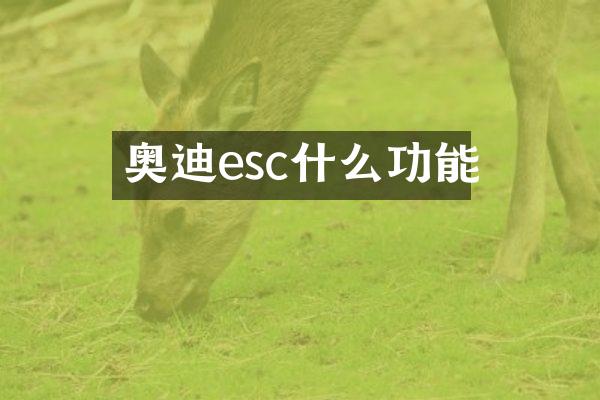 奥迪esc什么功能