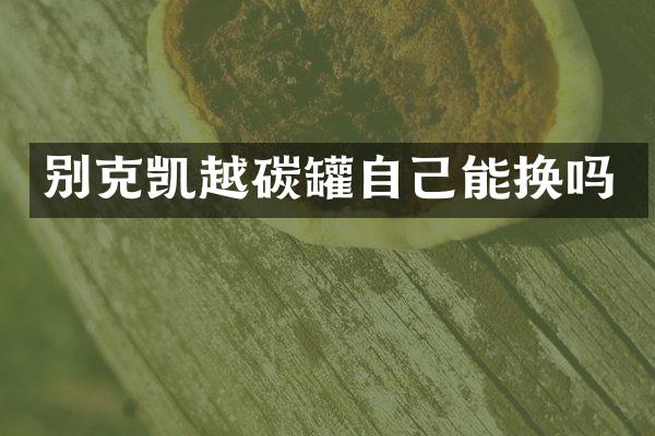 别克凯越碳罐自己能换吗