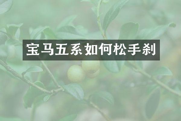 宝马五系如何松手刹