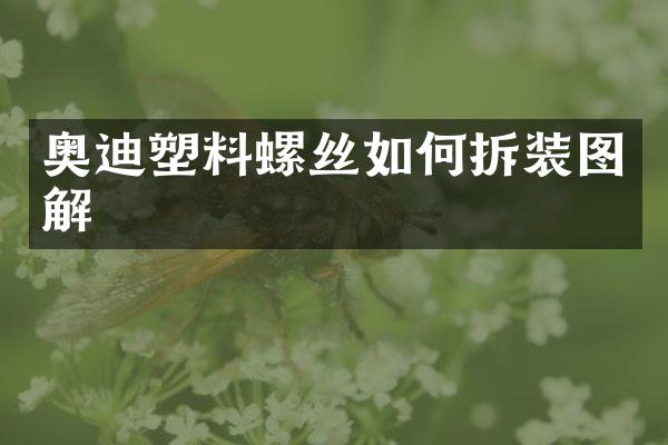 奥迪塑料螺丝如何拆装图解
