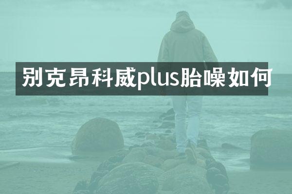 别克昂科威plus胎噪如何