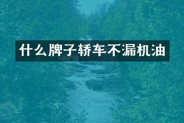 什么牌子轿车不漏机油
