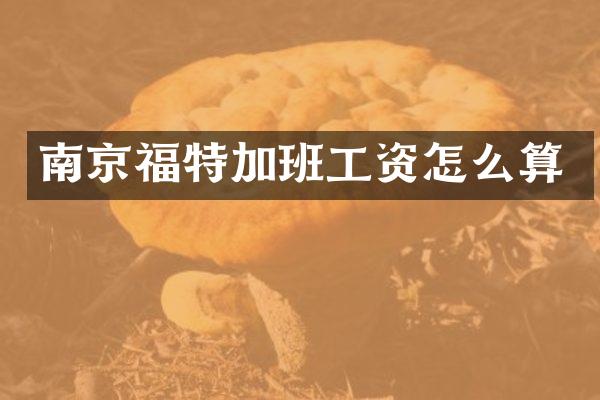 南京福特加班工资怎么算