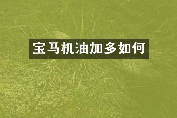 宝马机油加多如何
