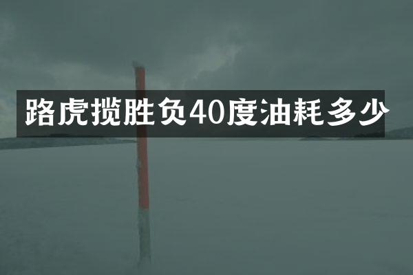 路虎揽胜负40度油耗多少