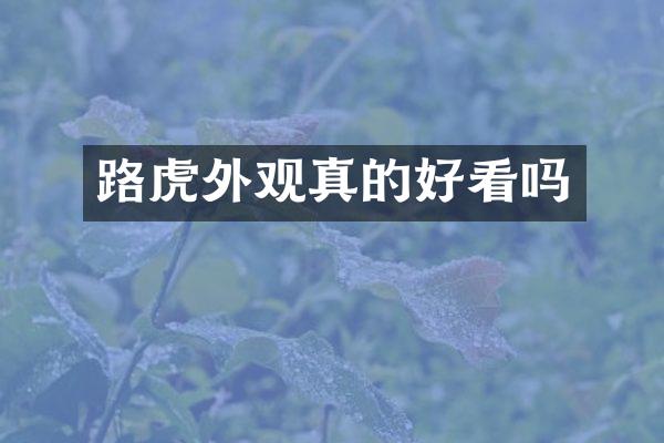 路虎外观真的好看吗