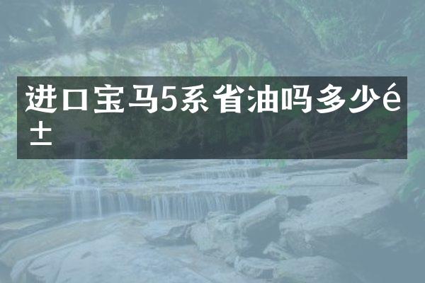 进口宝马5系省油吗多少钱