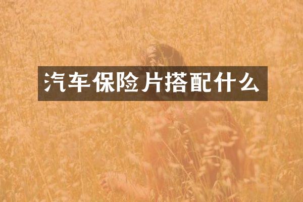 汽车保险片搭