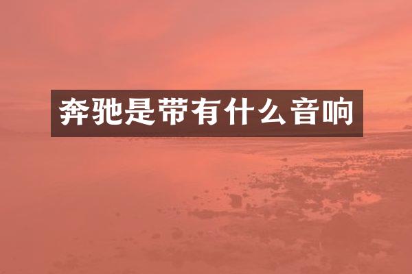 奔驰是带有什么音响