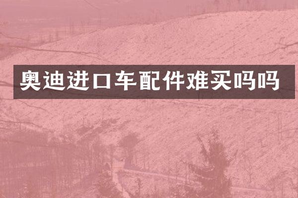 奥迪进口车配件难买吗吗