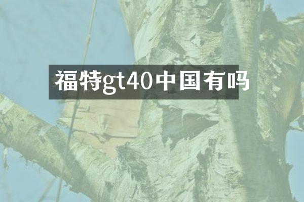 福特gt40中国有吗