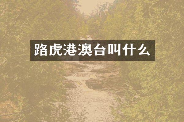 路虎港澳台叫什么