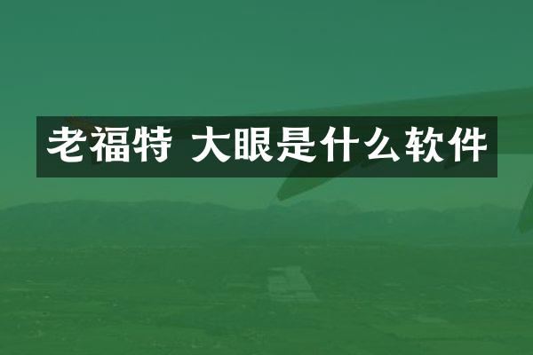 老福特 大眼是什么软件