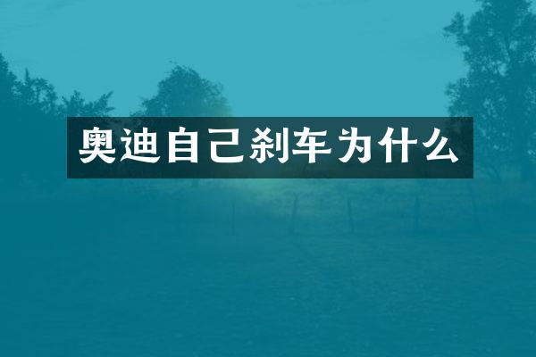 奥迪自己刹车为什么