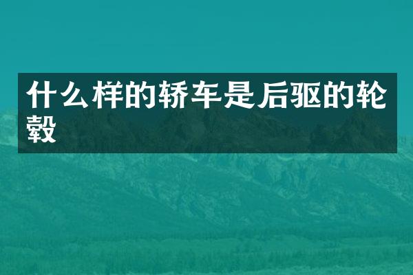 什么样的轿车是后驱的轮毂