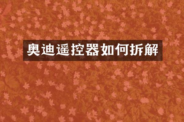 奥迪遥控器如何拆解
