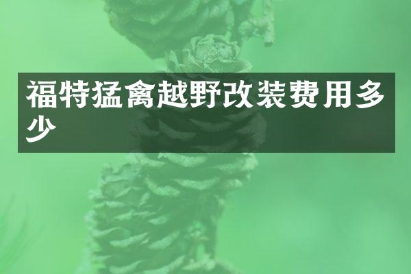 福特猛禽越野改装费用多少