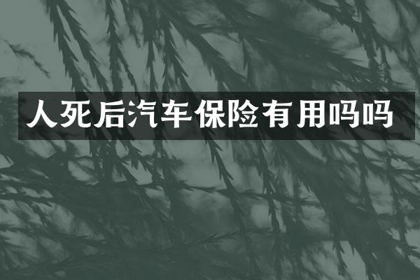 人死后汽车保险有用吗吗