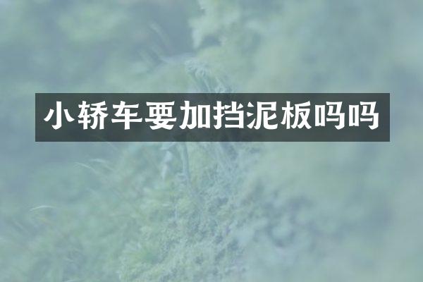小轿车要加挡泥板吗吗