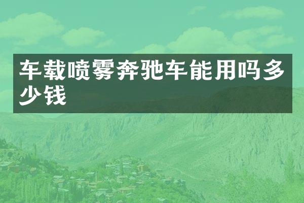 车载喷雾奔驰车能用吗多少钱