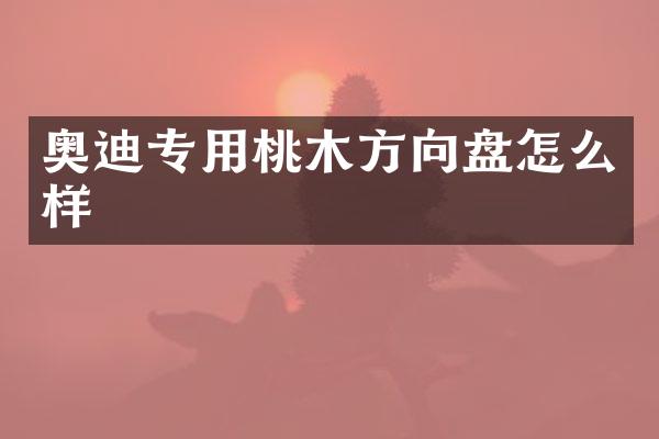 奥迪专用桃木方向盘怎么样