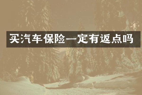 买汽车保险一定有返点吗