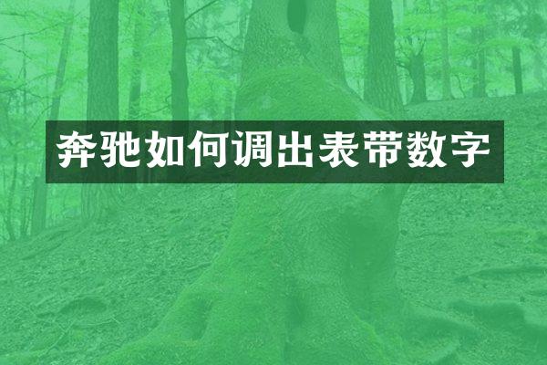 奔驰如何调出表带数字