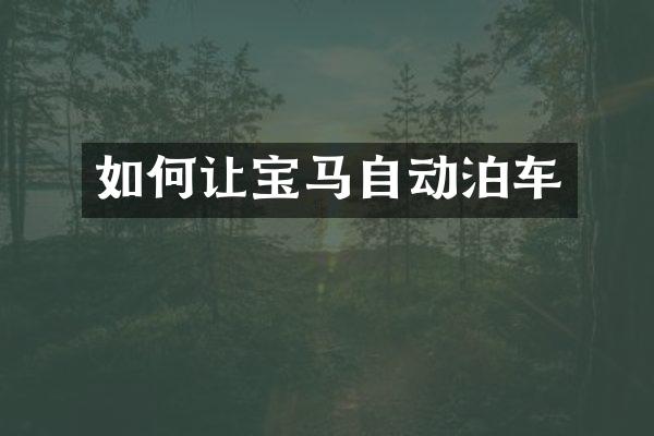 如何让宝马自动泊车