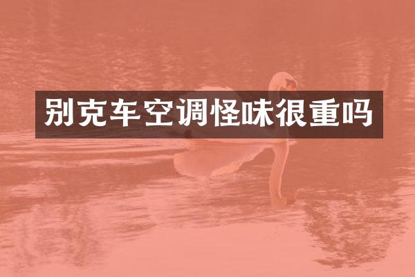 别克车空调怪味很重吗
