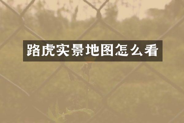 路虎实景地图怎么看