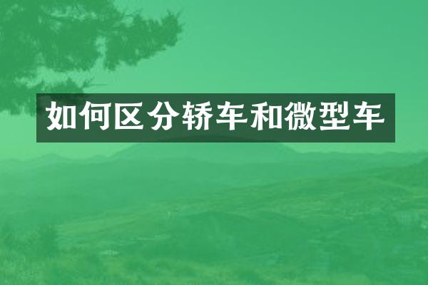 如何区分轿车和微型车