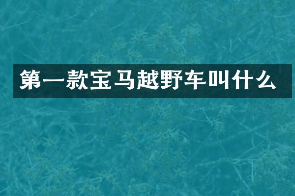 第一款宝马越野车叫什么