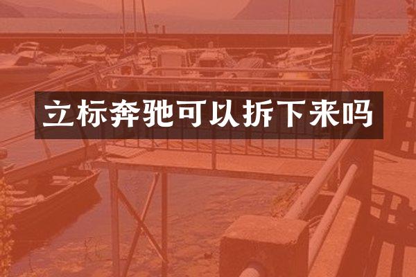 立标奔驰可以拆下来吗