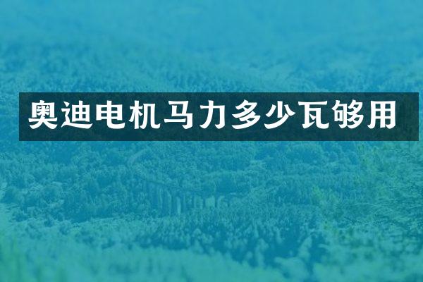 奥迪电机马力多少瓦够用