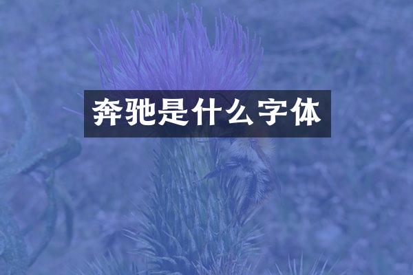 奔驰是什么字体