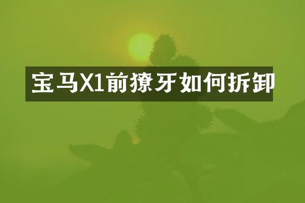 宝马X1前獠牙如何拆卸