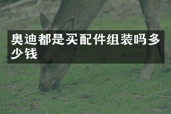 奥迪都是买配件组装吗多少钱