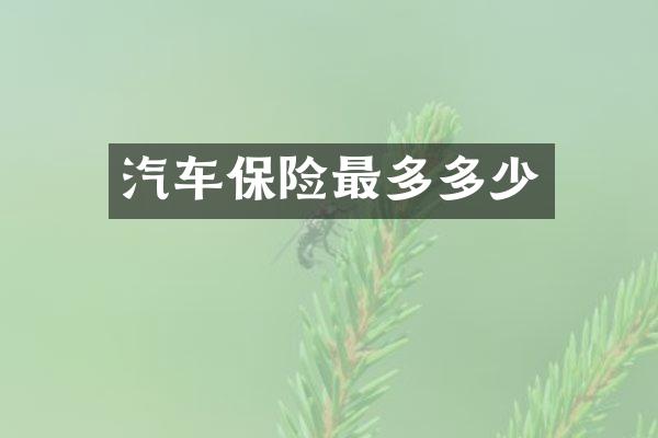 汽车保险最多多少