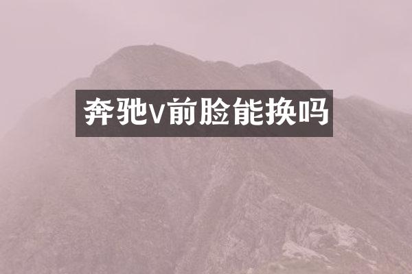 奔驰v前脸能换吗
