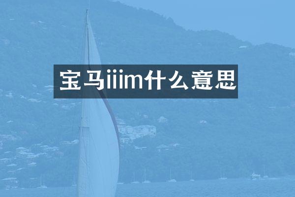 宝马iiim什么意思