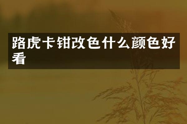 路虎卡钳改色什么颜色好看